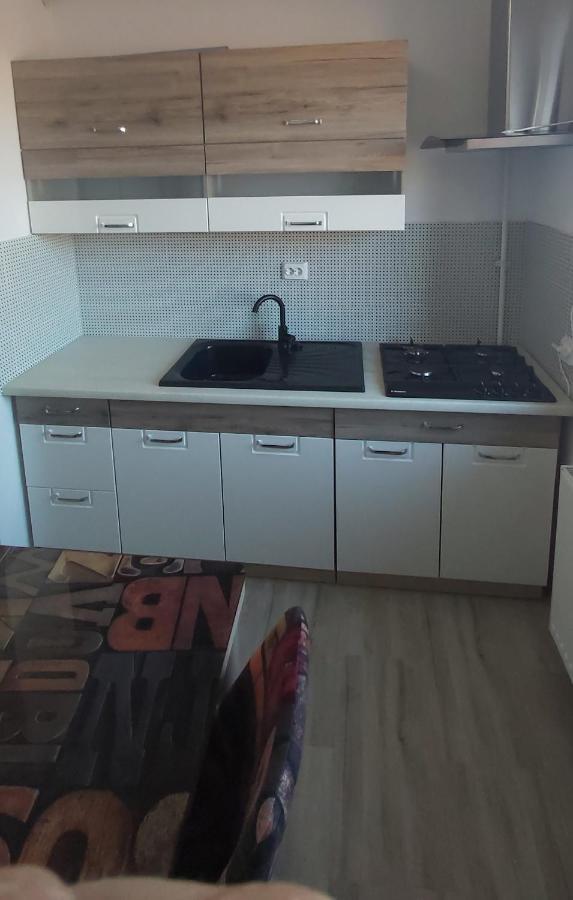 Apartmán Studio Elisa Caransebeş Exteriér fotografie