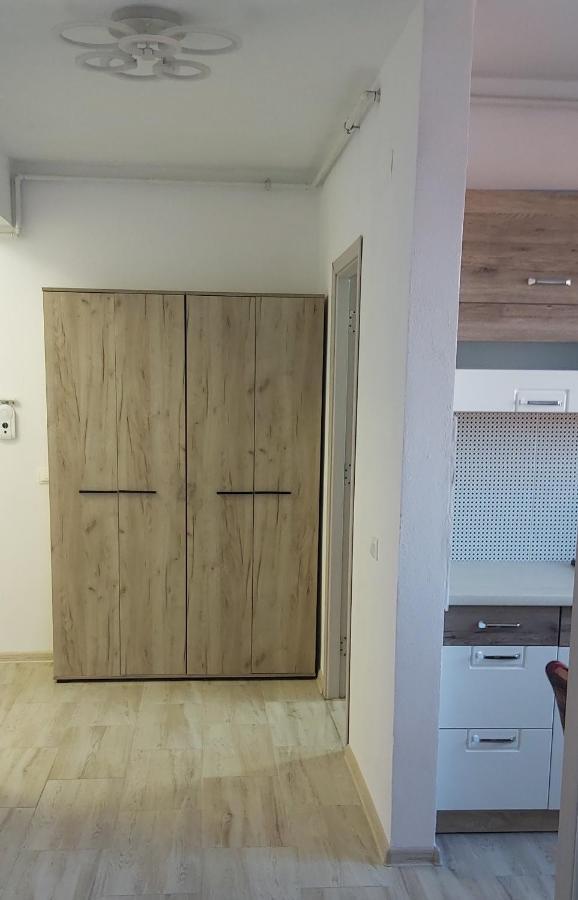 Apartmán Studio Elisa Caransebeş Exteriér fotografie