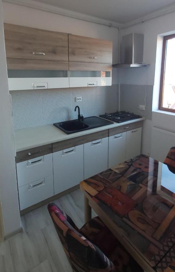 Apartmán Studio Elisa Caransebeş Exteriér fotografie
