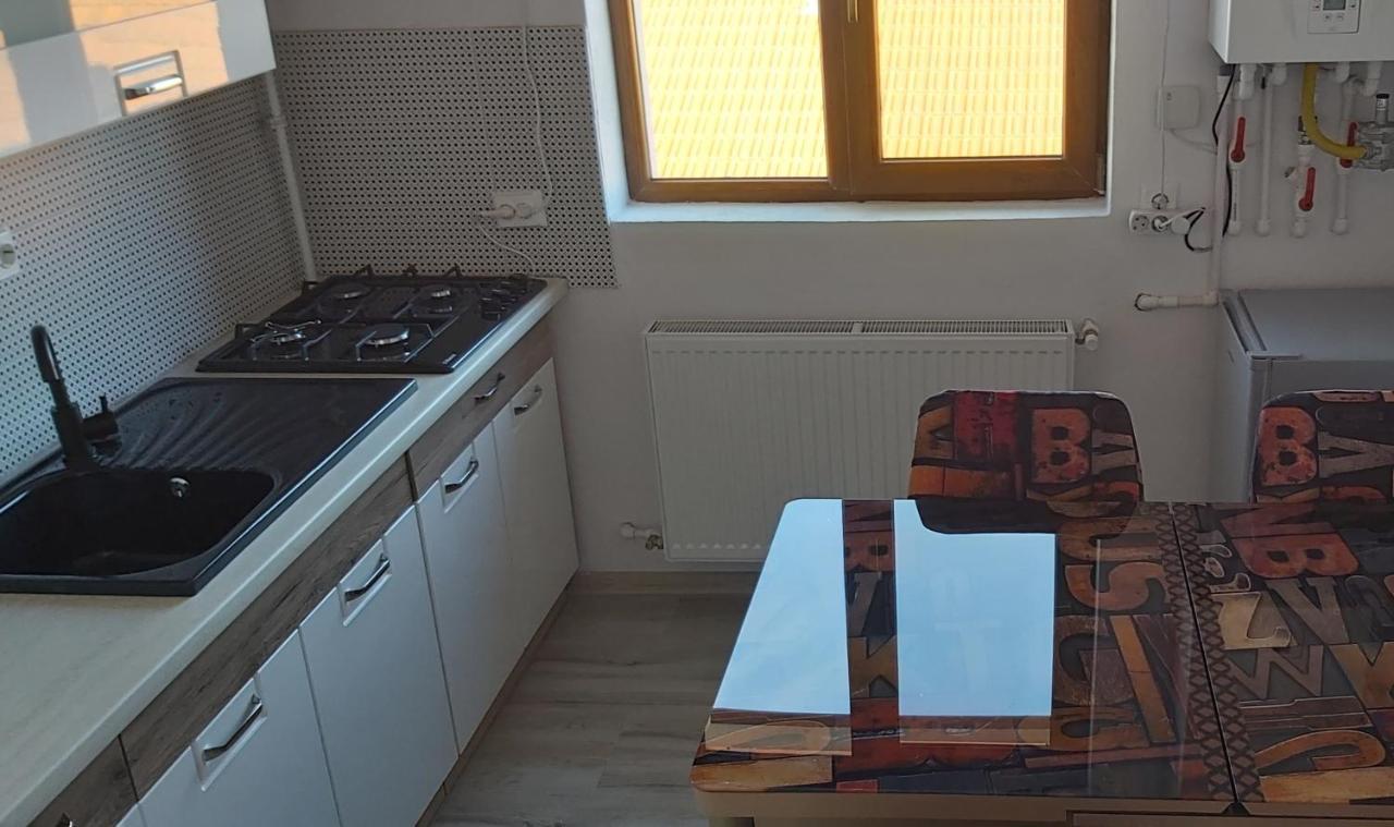 Apartmán Studio Elisa Caransebeş Exteriér fotografie