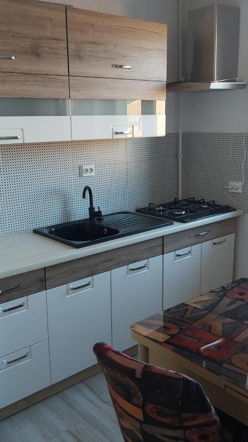 Apartmán Studio Elisa Caransebeş Exteriér fotografie