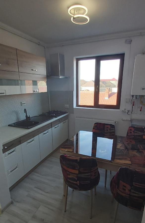 Apartmán Studio Elisa Caransebeş Exteriér fotografie